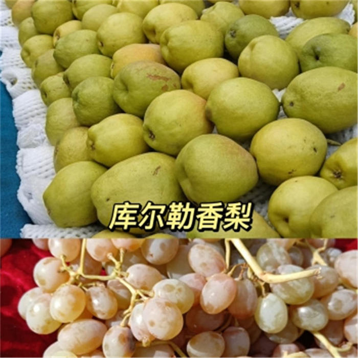 拜城巴扎，有着人间的一切喜乐