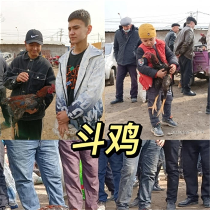 拜城巴扎，有着人间的一切喜乐